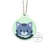 Katze