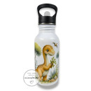 Edelstahltrinkflasche mit einem Dinosaurier und Name personalisiert